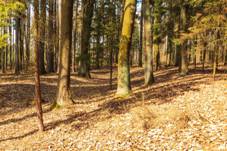 Pozstatky val a pkop