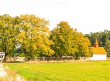 Domnovice hbitov.jpg