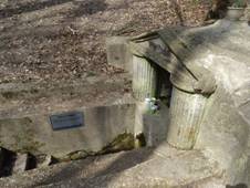 Anein pramen Chlumec nad Cidlinou.jpg