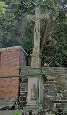 Hladk ivotice, k.jpg