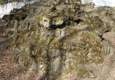 Poltov lvy ve Stranku - detail of rocks.JPG