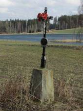 K�� na severn�m okraji Boru u �p. 19 (Q67180759) 01.jpg