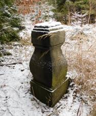 K v lese u cesty severn od Cejle (Q104874135).jpg