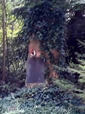 Pomnk padlm v chatov osad Valcha (Q67180322) 02.jpg