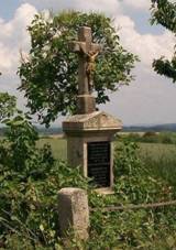 K�� nad Chmelnou u poln� cesty (Q67185905).jpg