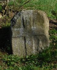 Kov kmen v Hojkov (Q104973569) 01.jpg