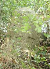 https://upload.wikimedia.org/wikipedia/commons/thumb/d/db/Memorial_stone_in_K%C5%99elovice%2C_Pelh%C5%99imov_District.jpg/800px-Memorial_stone_in_K%C5%99elovice%2C_Pelh%C5%99imov_District.jpg