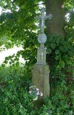 K�i� na severn�m okraji Ji�i�ek (Q104975454).jpg