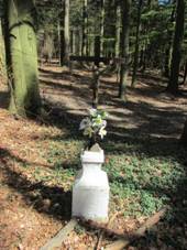 K pod vrchem Kemenk (Q67180557) 02.jpg