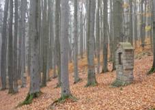 Kov cesta (Kemenk) 14.jpg