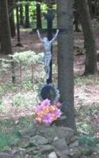 K jin od Nov Vsi v lese (Q67185031).jpg