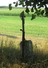 K vchodn od tchovic II (Q67184232).jpg