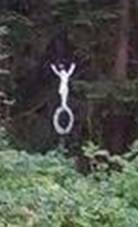 K jin od Bedichova (Q67183432).jpg