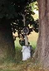 K u Bedichova (Q67183491).jpg