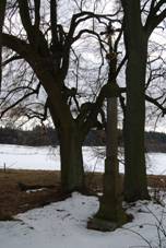 Boudy okres Psek (59).JPG