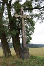 Mladotice (Drhovle) Mladotick Mlaky (11).jpg