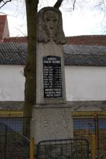 amonice (Pedotice) (1).jpg