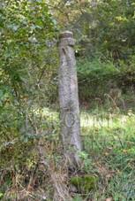 1000138353 - bo muka