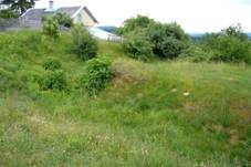 Doln Police 2008 - tvrzit.jpg