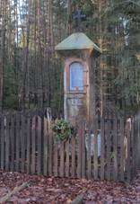 Smrk (ist) - bo muka v lese.JPG