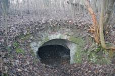 Kuncberk - zbytky sklepen.jpg