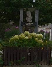 Ble, kaplika na nvsi.jpg