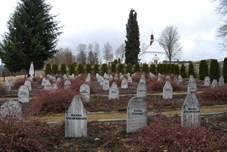 Volary - okres Prachatice (17).jpg