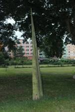Volary, pomnÃk u hÅ™bitova.jpg