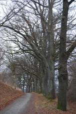 Volary - okres Prachatice (29).jpg