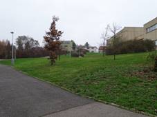 imice, park za nkupnm stediskem.jpg