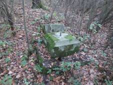 K severn od Bikova (Q66056136).jpg