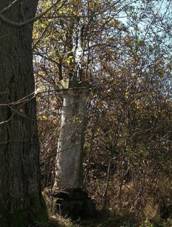 K u Libkovic u cesty do Letin (Q66057097).jpg