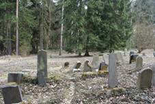 Jewish Cemetery Merkln 03.JPG