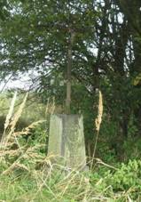 K vchodn od Lhoty (Q66055872).jpg