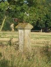 K zpadn od Oseka (Q66053784).jpg