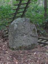 Kov kmen u Sobkur (Q38134554).jpg