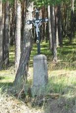 K u lesa nad Novm Knnem (Q66567311).jpg