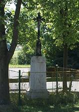 Zavrice common 01.JPG