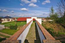 Lvka k fae, Otaslavice, okres Prostjov.jpg