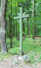 K v lese vchodn od Velzu (Q66565556) 01.jpg