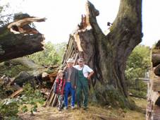 PAMTN LPA v centru Dobva vzala za sv. Mohutn koruna nevydrela siln npor vtru a rozlmala se na nkolik kus. St deviny je pitom odhadovno na pt set let a obvod stromu byl sedm a pl metru. 