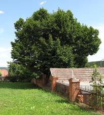 Drahov jezd, pamtn lpa.jpg