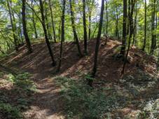 Jevn - pozstatky hradu nad Jevinvs (1).jpg