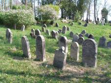 Jewish cemetery in Spomyl (4).JPG