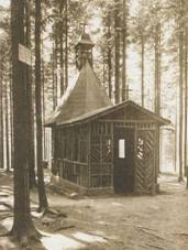 kaplika v mstskm lese