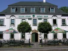 Restaurace Zelen strom