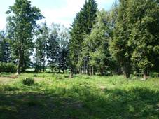 Edrovice, hbitov 3.JPG