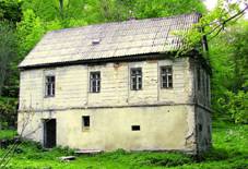 Fialv mln - Reov.jpg