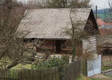 Kun (Petrovice) (2.).jpg