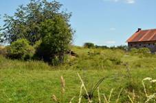 stupenice, Sedlany, pozstatky tvrzit 01.JPG